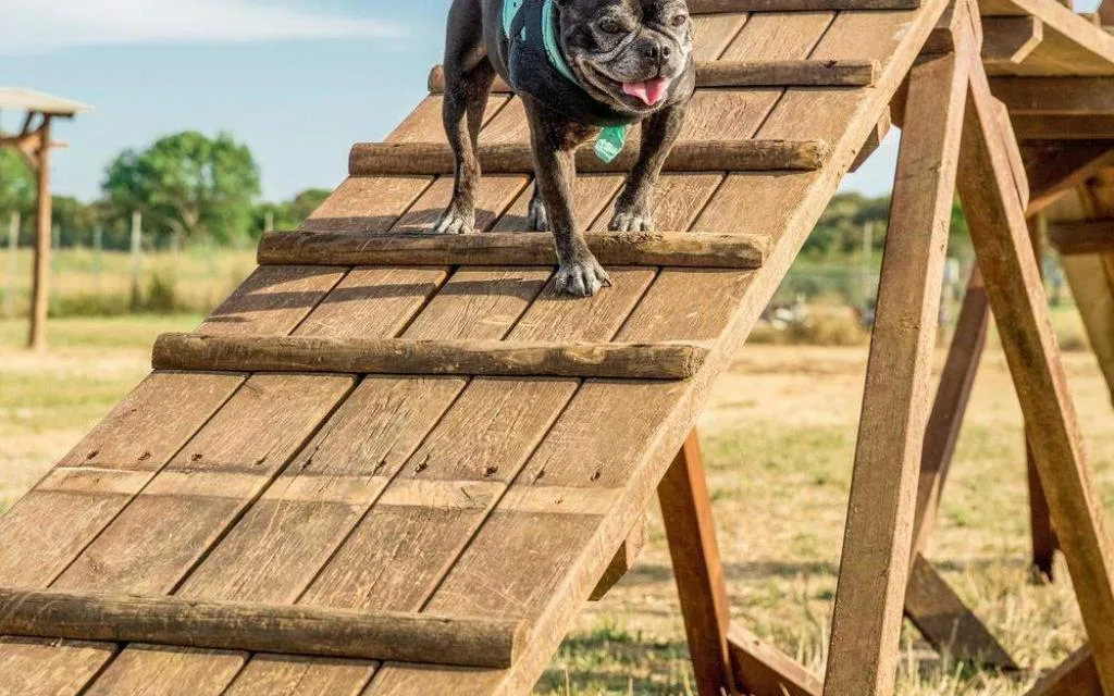 Parco Cani
