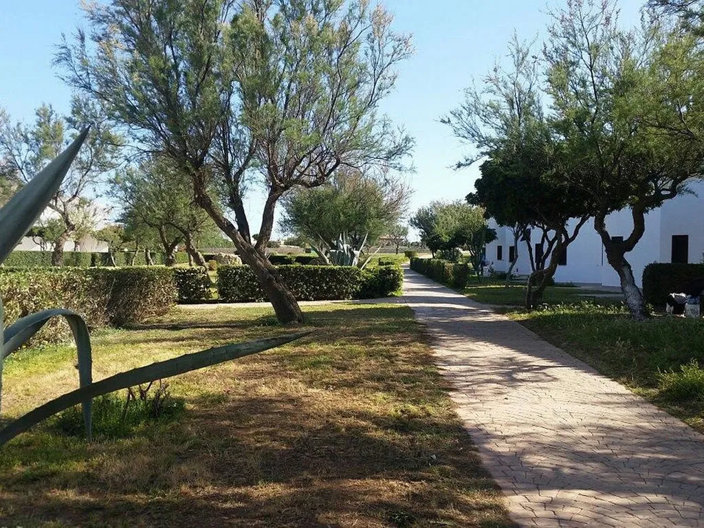 Vialetto pedonale immerso nel verde con alberi e siepi tra gli alloggi