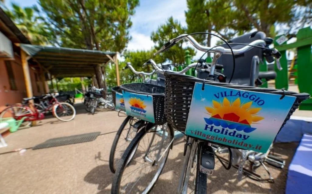 Bike Rental