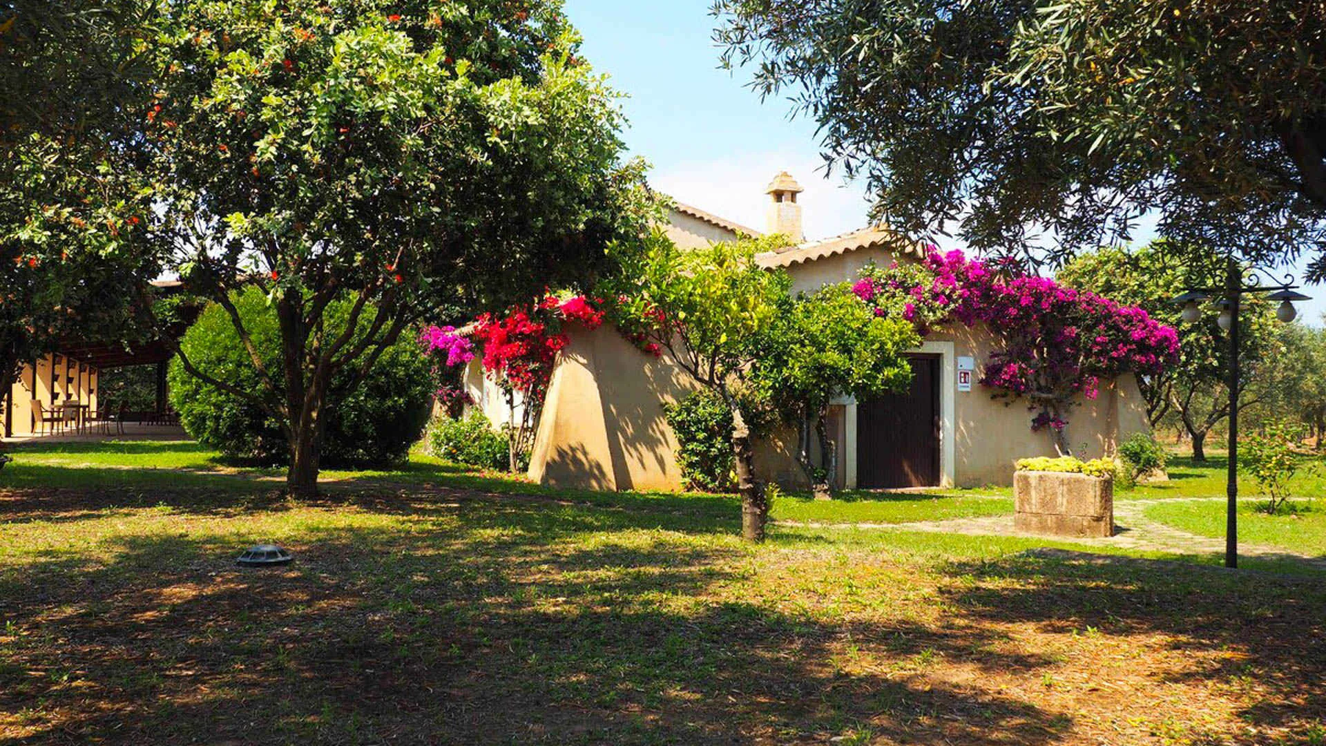 Casa rustica con bouganville fiorita rosa immersa nel giardino con ulivi e alberi