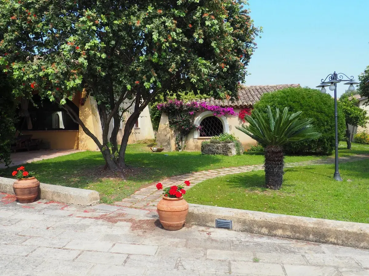 Giardino curato con alberi, palme, fiori rossi in vaso e casetta rustica