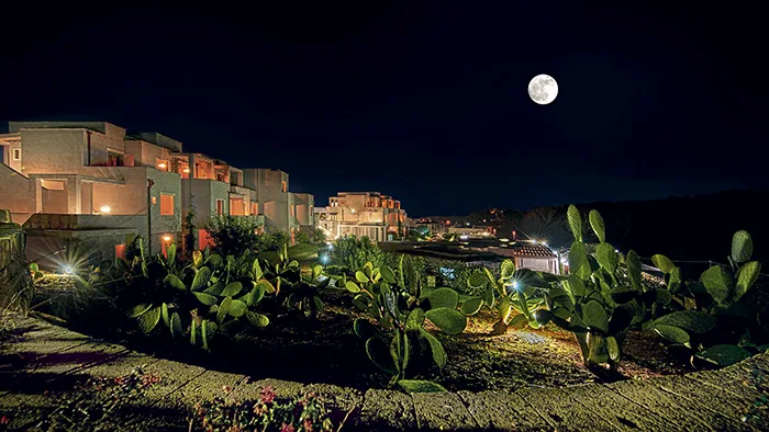 Vista notturna della struttura con luna piena e piante di fichi d'India