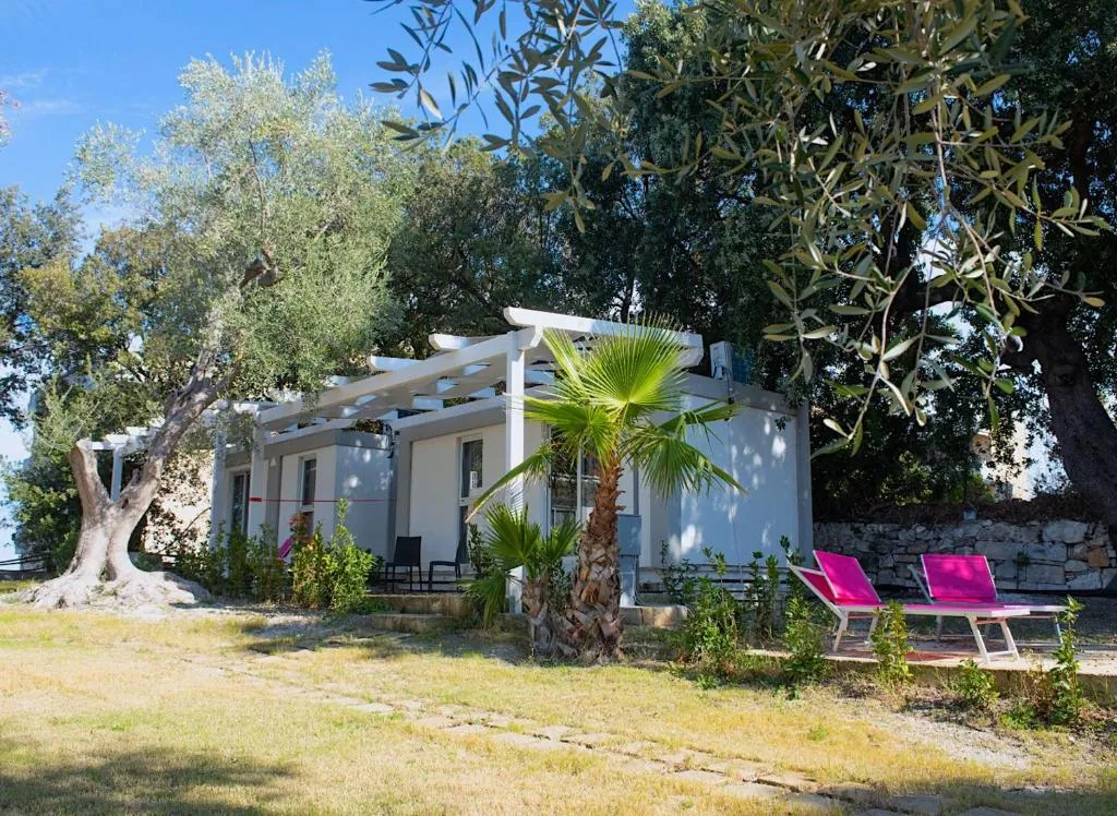 Bungalow bianco con pergolato, palma e lettini rosa tra gli ulivi