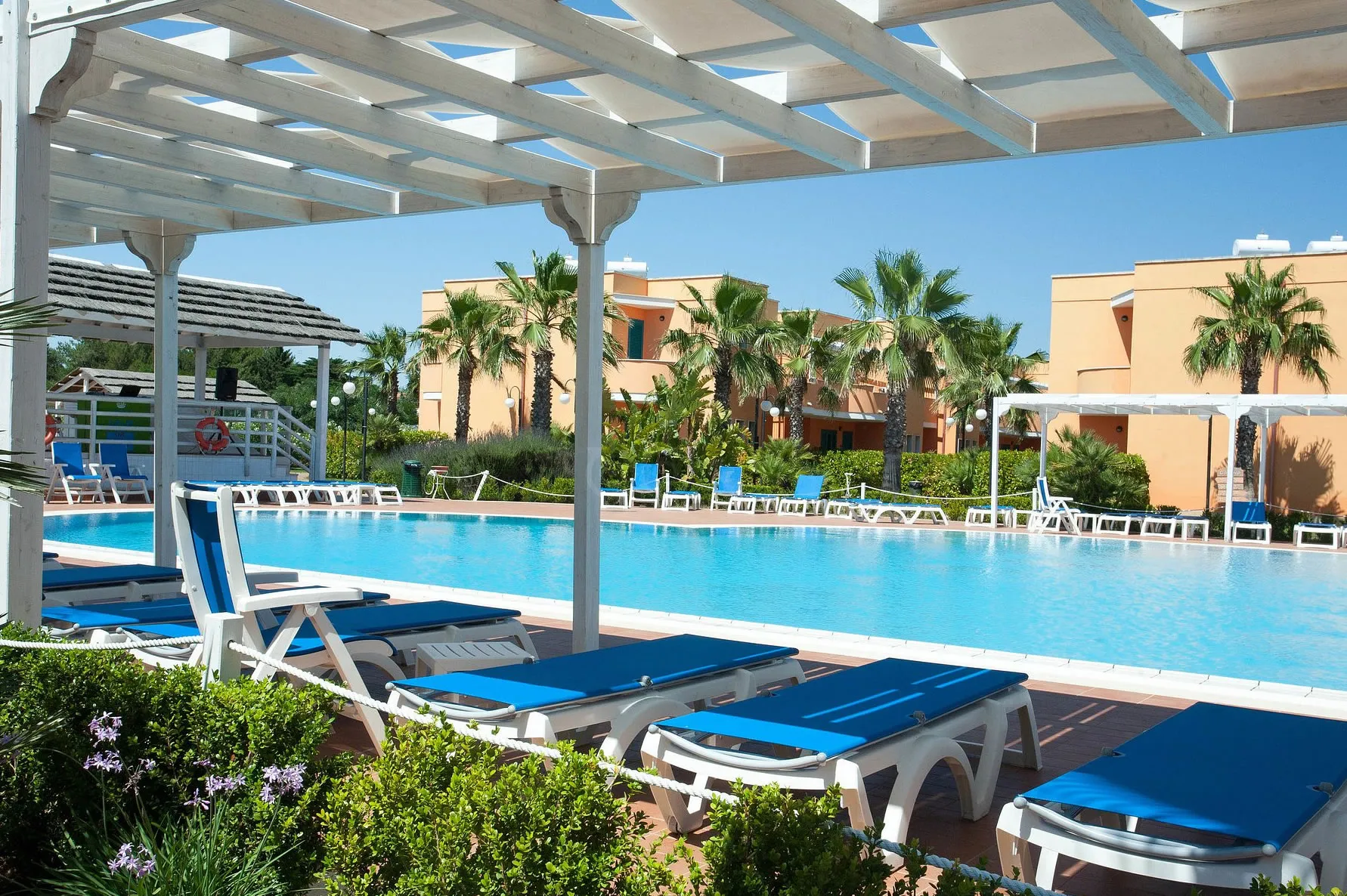 Lettini blu sotto pergolato bianco a bordo piscina, residence color ocra e palme sullo sfondo