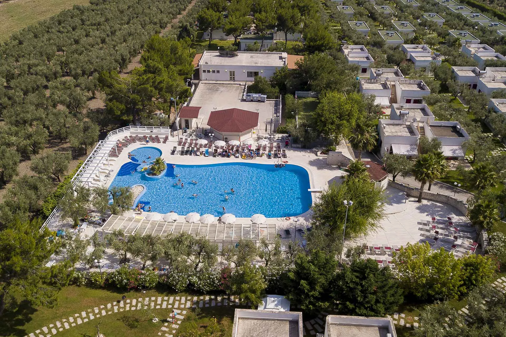Veduta aerea della piscina del resort circondata da bungalow bianchi e uliveti