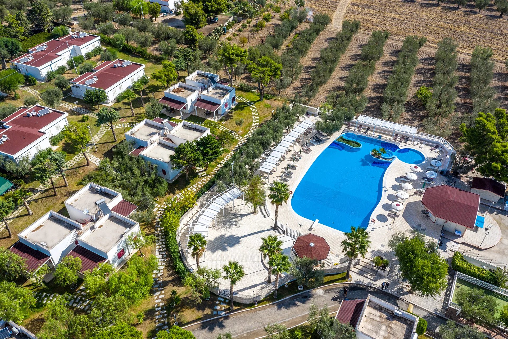 Vista dall'alto della piscina e dei bungalow del villaggio tra uliveti