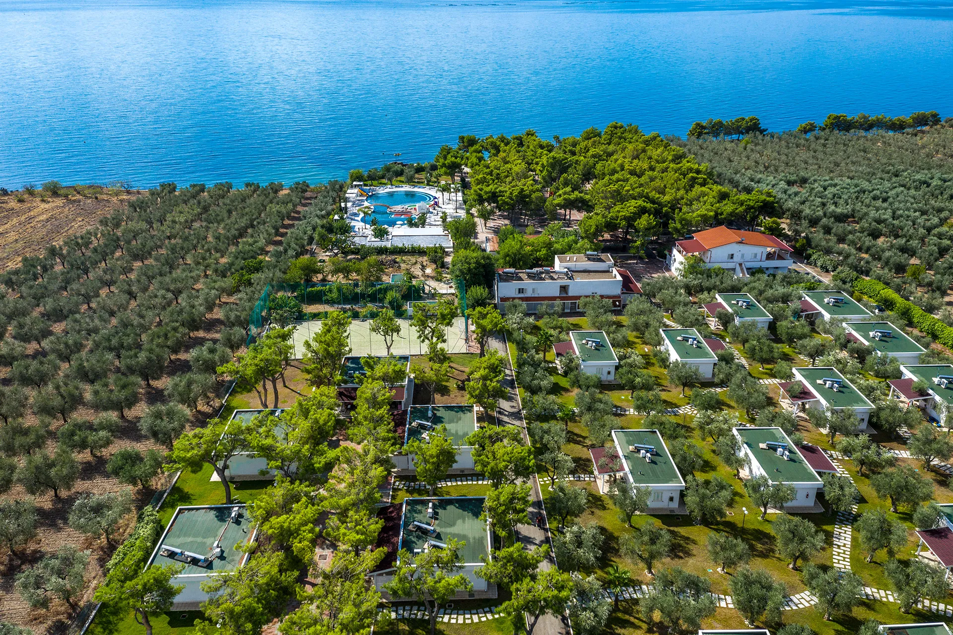 Veduta aerea dei bungalow del villaggio tra uliveti con piscina e mare sullo sfondo