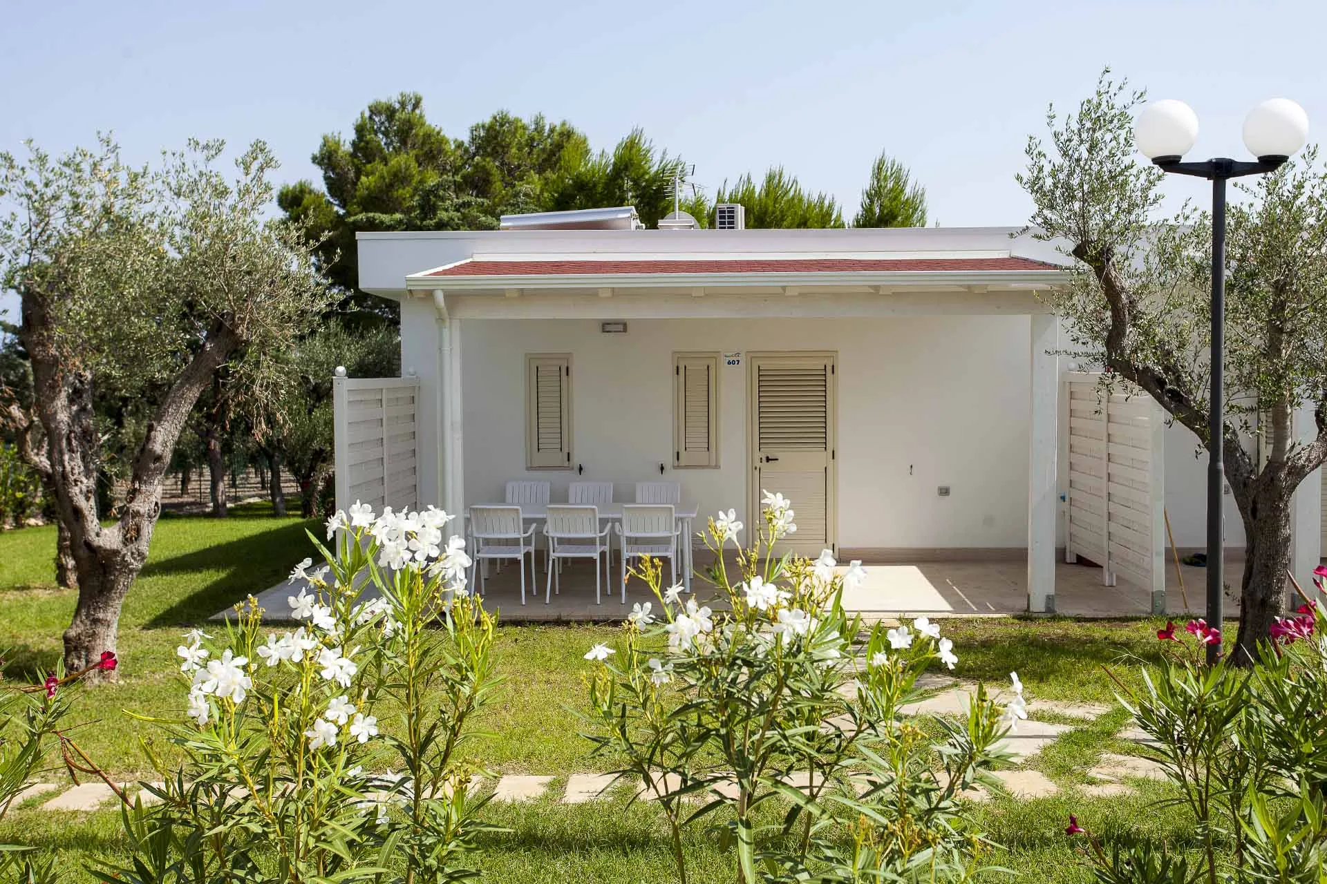 Bungalow bianco con veranda, tavolo e sedie circondato da uliveti e fiori bianchi