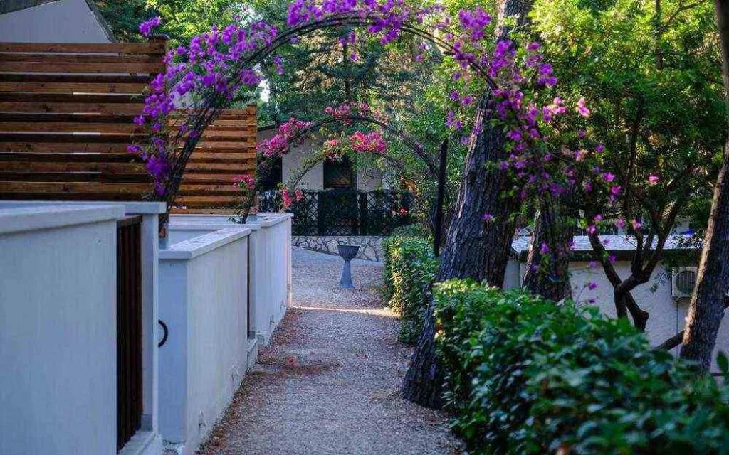 Viale del villaggio con archi di bouganville in fiore tra il verde