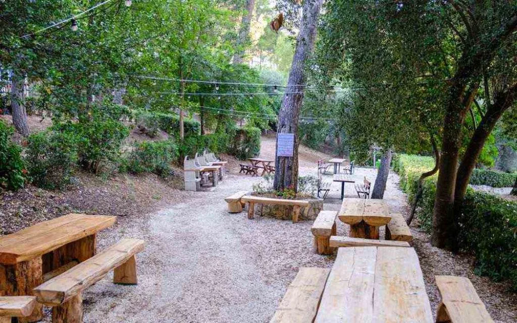 Area pic-nic nel bosco con tavoli e panche in legno