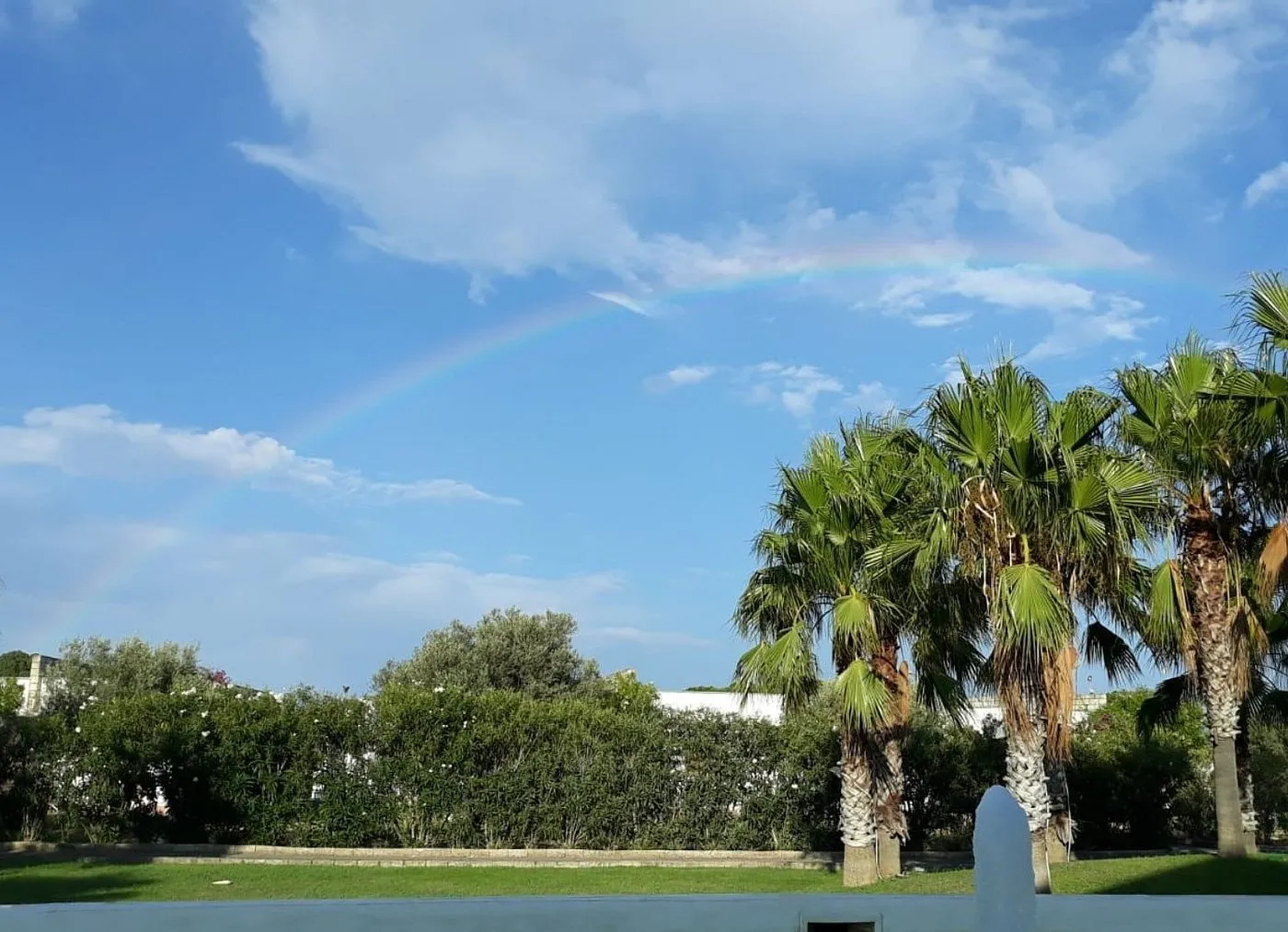 Arcobaleno nel cielo sopra palme e giardino del resort