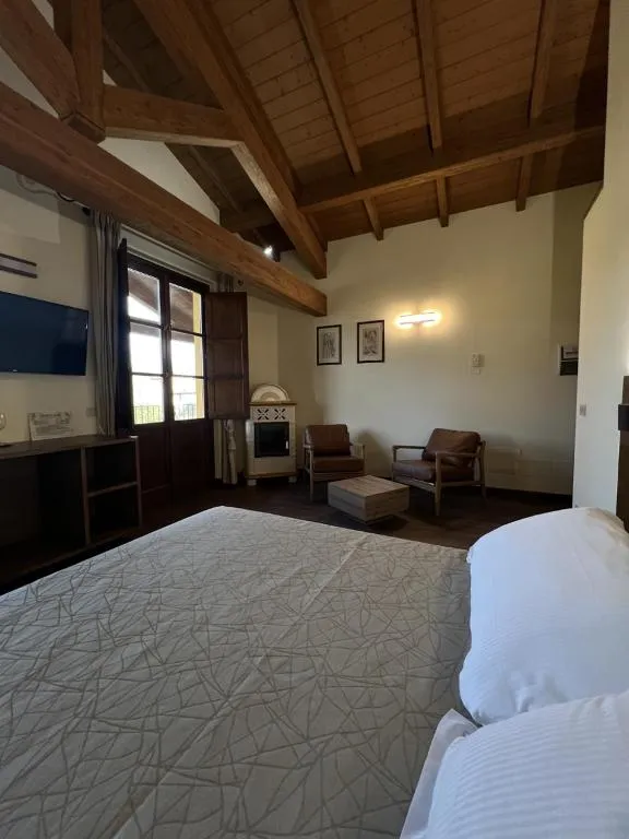 Camera spaziosa con soffitto in legno, poltrone e stufa in ceramica