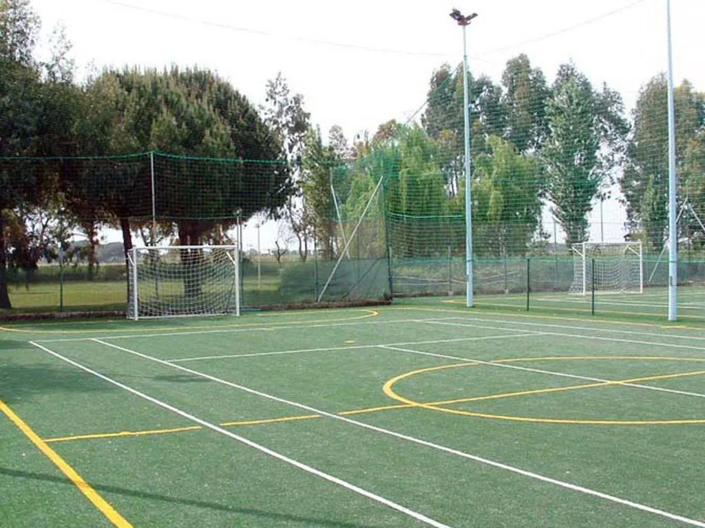 Campo sportivo in erba sintetica con porte da calcio circondato da alberi