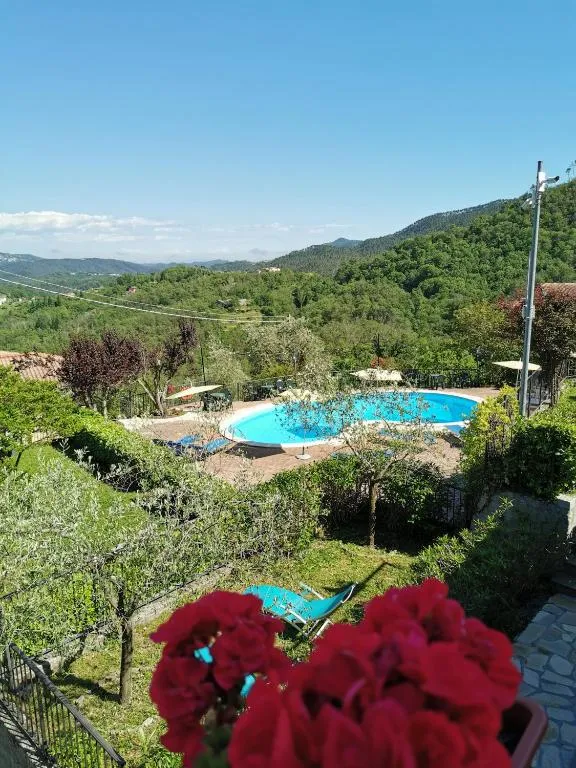 Panorama della piscina immersa nel verde con colline e fiori rossi in primo piano
