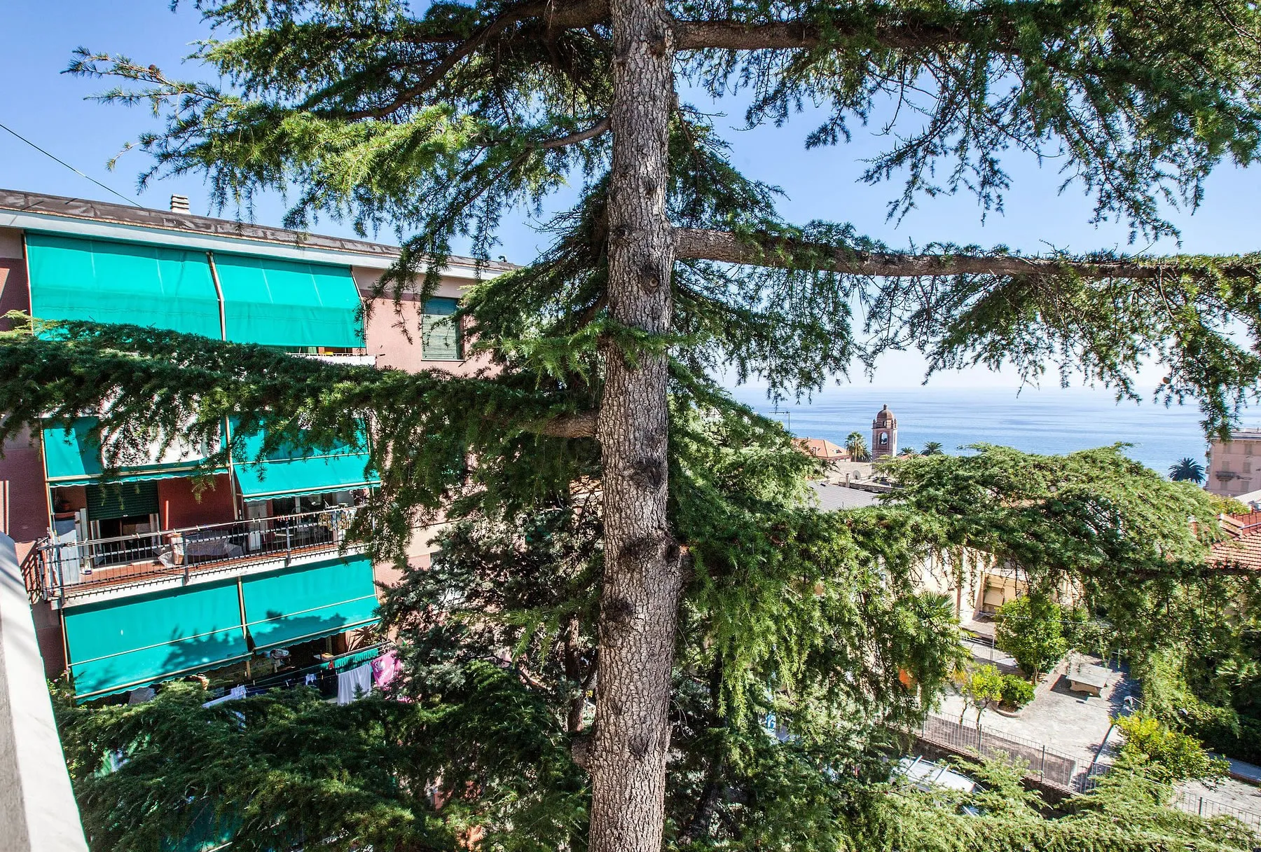 Vista sul mare e sul campanile attraverso i rami di un pino dal balcone dell'hotel