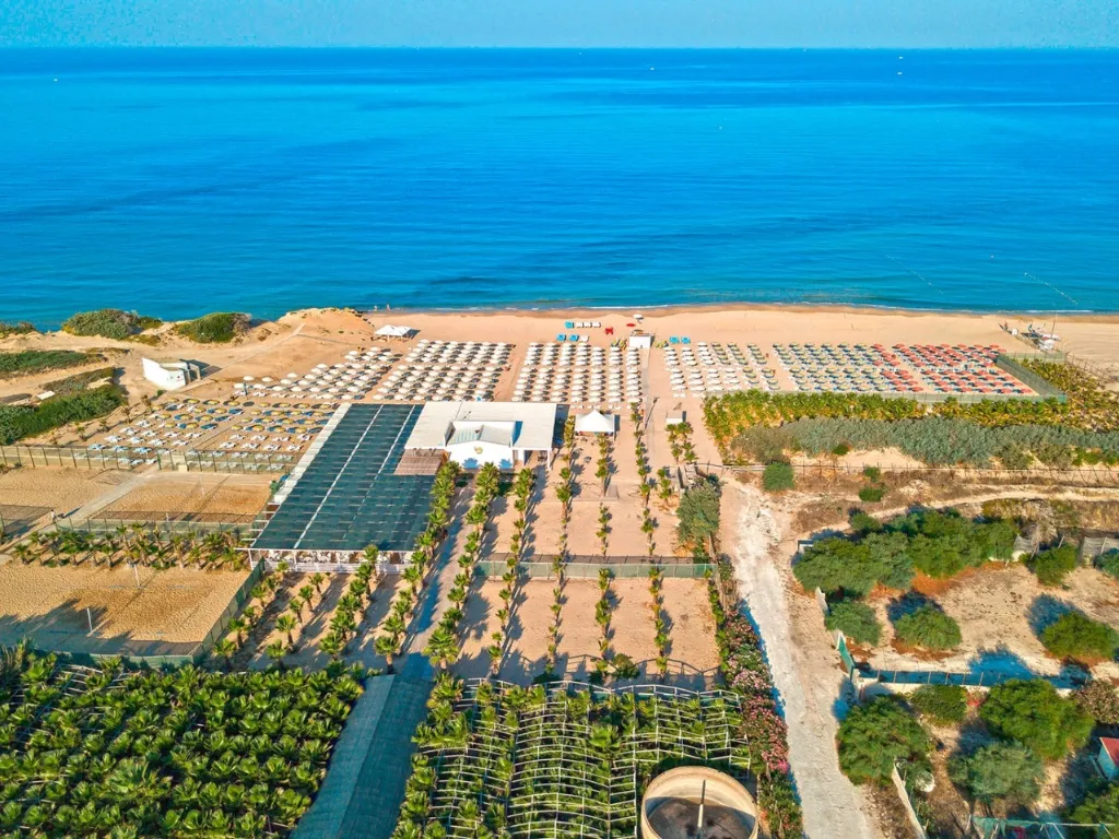Veduta aerea della spiaggia attrezzata con file di ombrelloni e mare blu intenso