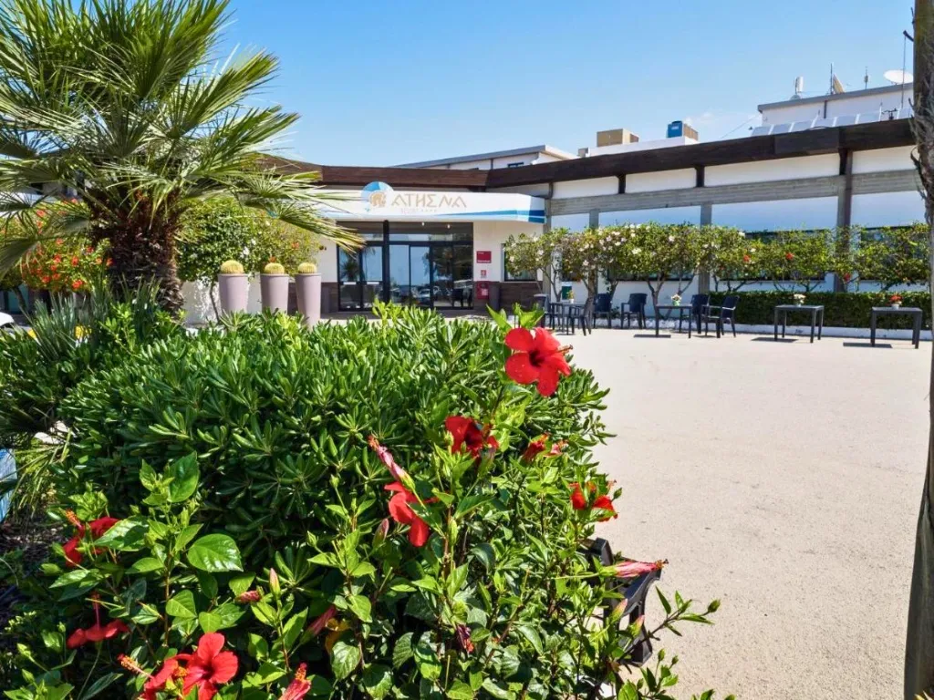 Ingresso dell'hotel Athena con vegetazione, fiori rossi e palme