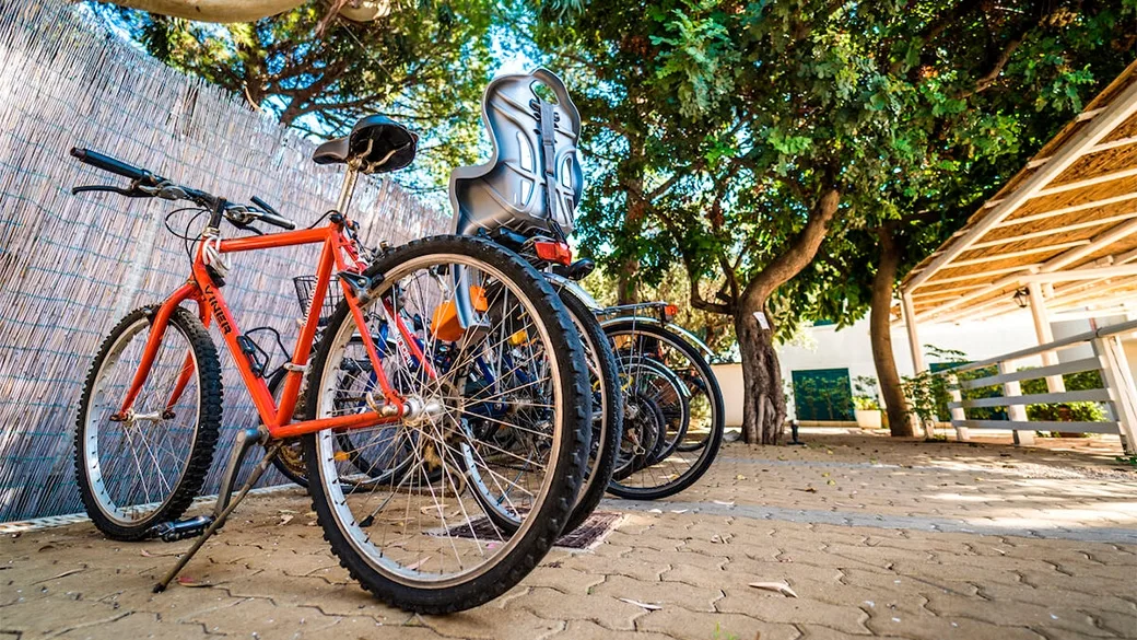 Biciclette parcheggiate accanto a una staccionata in canne all'ombra