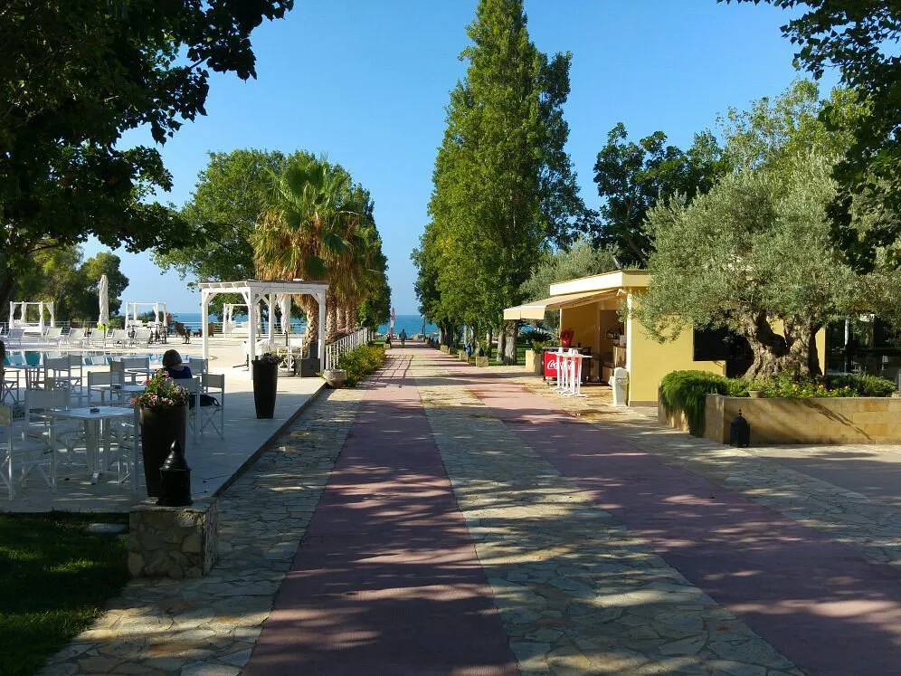 Viale alberato che conduce al mare con bar e area relax