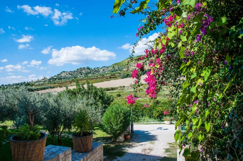 Vialetto del giardino con bouganville fiorite e vista sulle colline