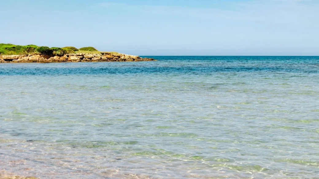Acqua di mare limpida e trasparente con scogli e vegetazione costiera