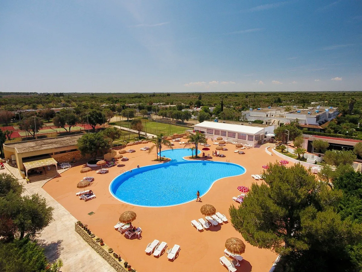 Vista aerea della piscina a forma libera con lettini e ombrelloni immersa nel verde