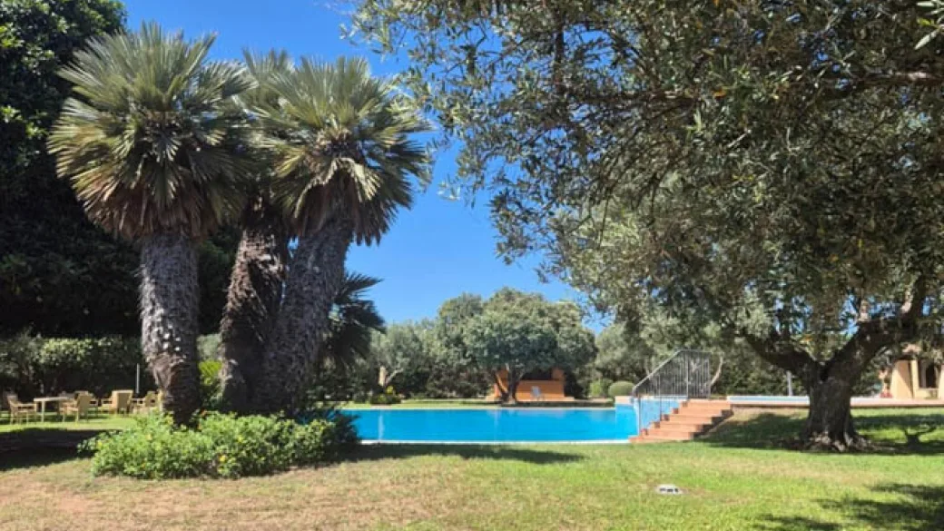 Piscina immersa nel giardino con palme e ulivi sotto cielo azzurro
