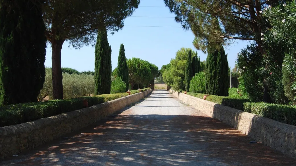 Viale d'ingresso alberato con cipressi e siepi che conduce alla tenuta