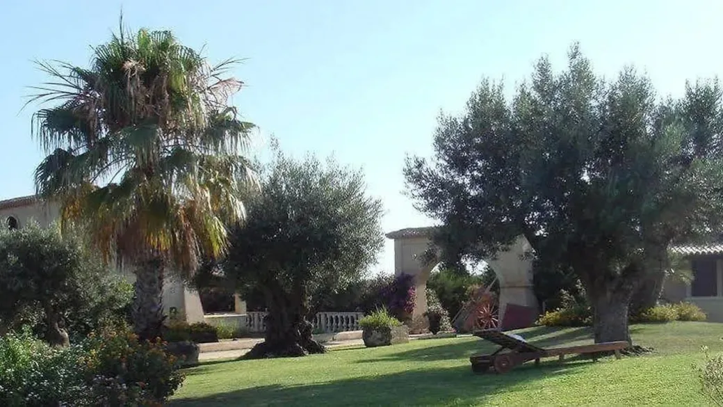 Giardino con palme, ulivi secolari e lettino in legno sul prato