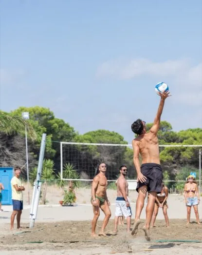 Giocatori di beach volley in azione su spiaggia sabbiosa con rete e alberi sullo sfondo, cielo sereno.