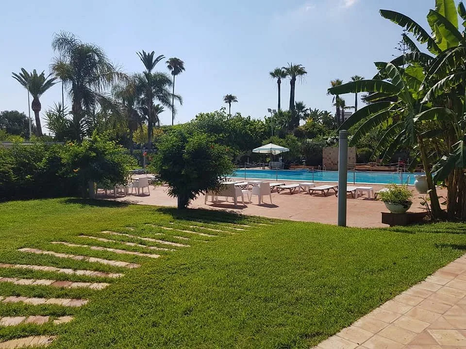 Giardino curato con prato verde, lettini e piscina circondata da palme
