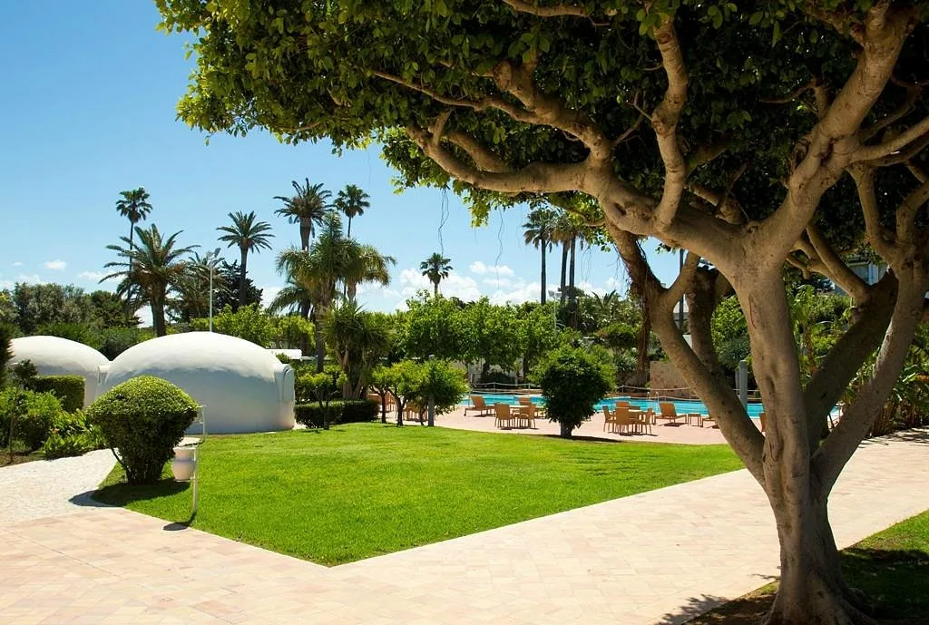 Giardino con grande albero, prato e bungalow bianchi a cupola vicino alla piscina