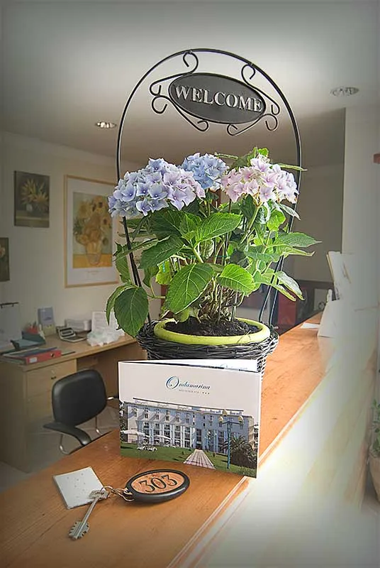 Reception con insegna di benvenuto, pianta di ortensie e chiavi della camera
