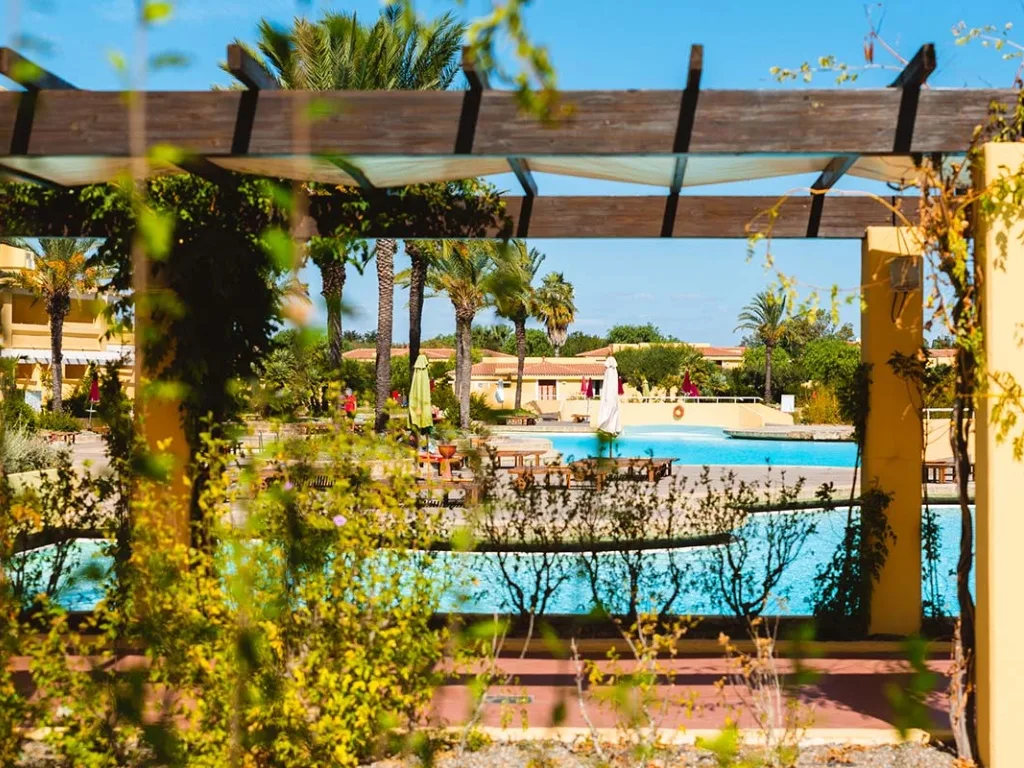 Vista della piscina attraverso una pergola in legno con vegetazione e palme