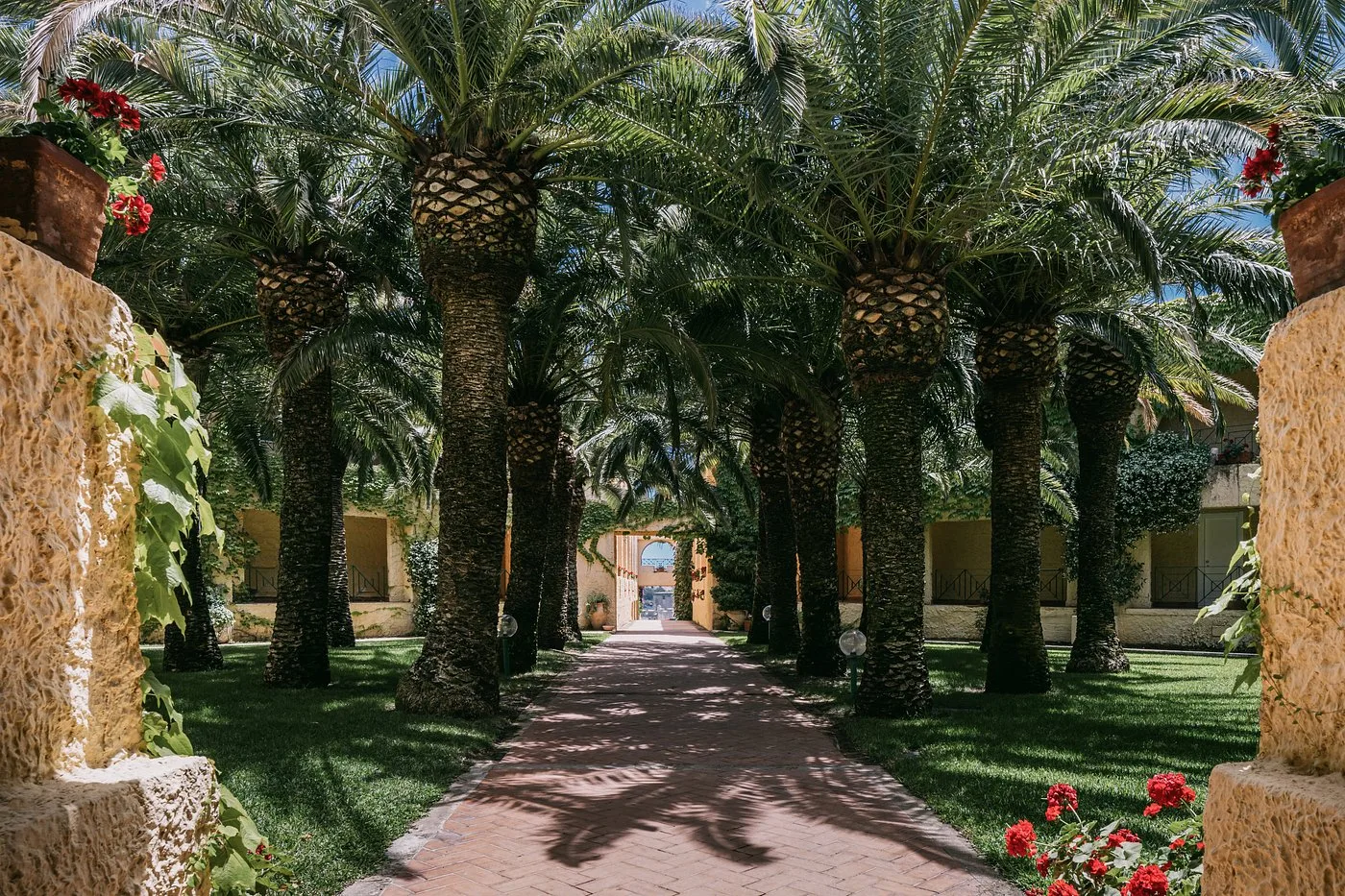 Viale alberato di palme con fiori rossi e vialetto in mattoni