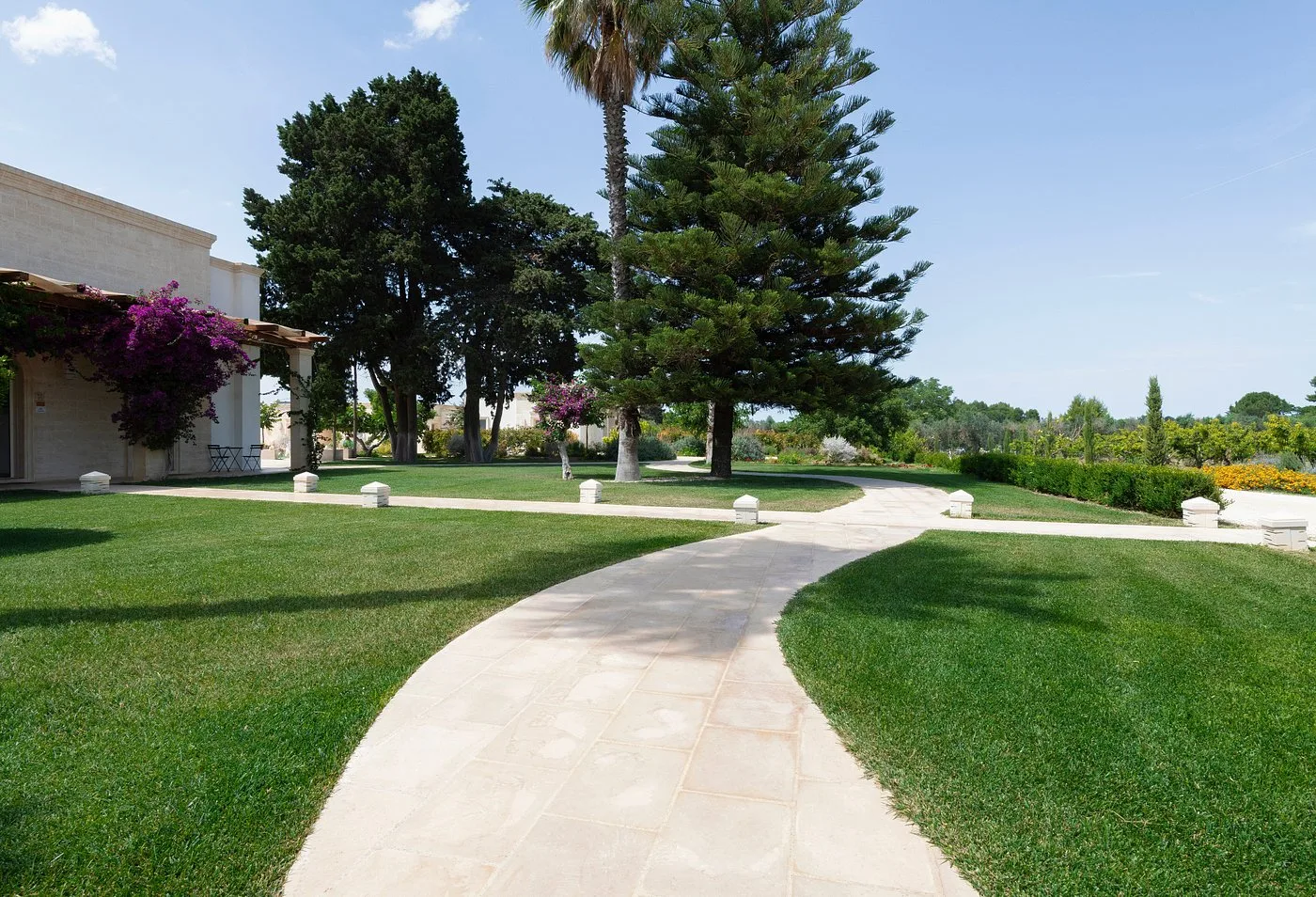 Vialetto curvo nel giardino con grandi alberi, palme e bougainvillea