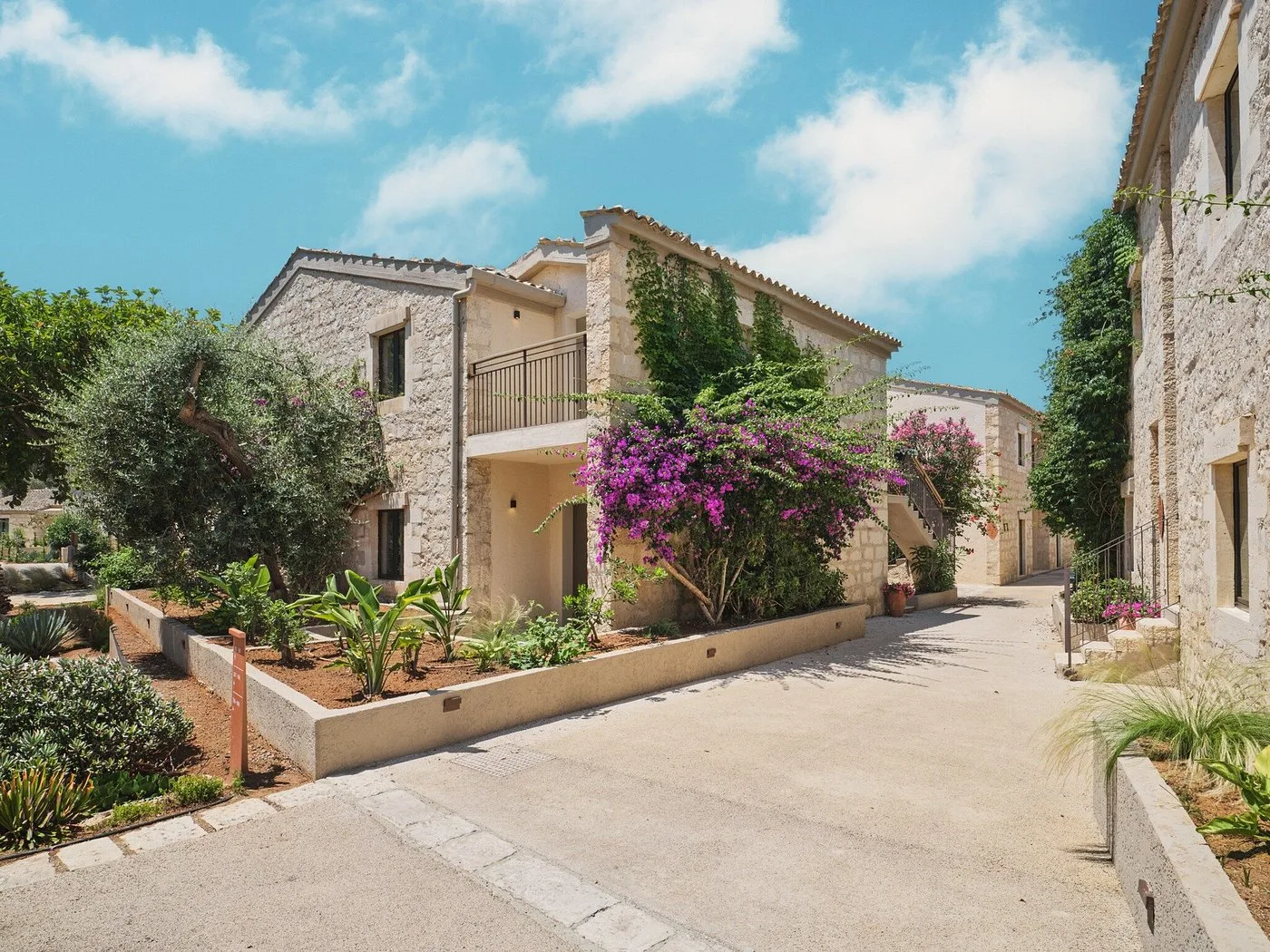 Vialetto tra edifici in pietra con giardini, ulivi e bougainvillea viola