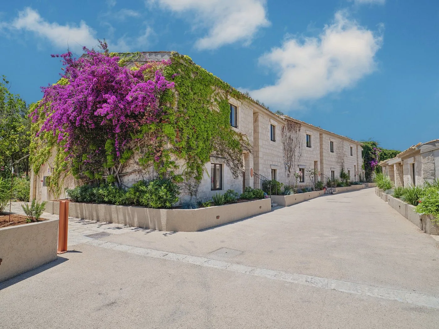 Edificio in pietra ricoperto di bougainvillea viola lungo un viale assolato