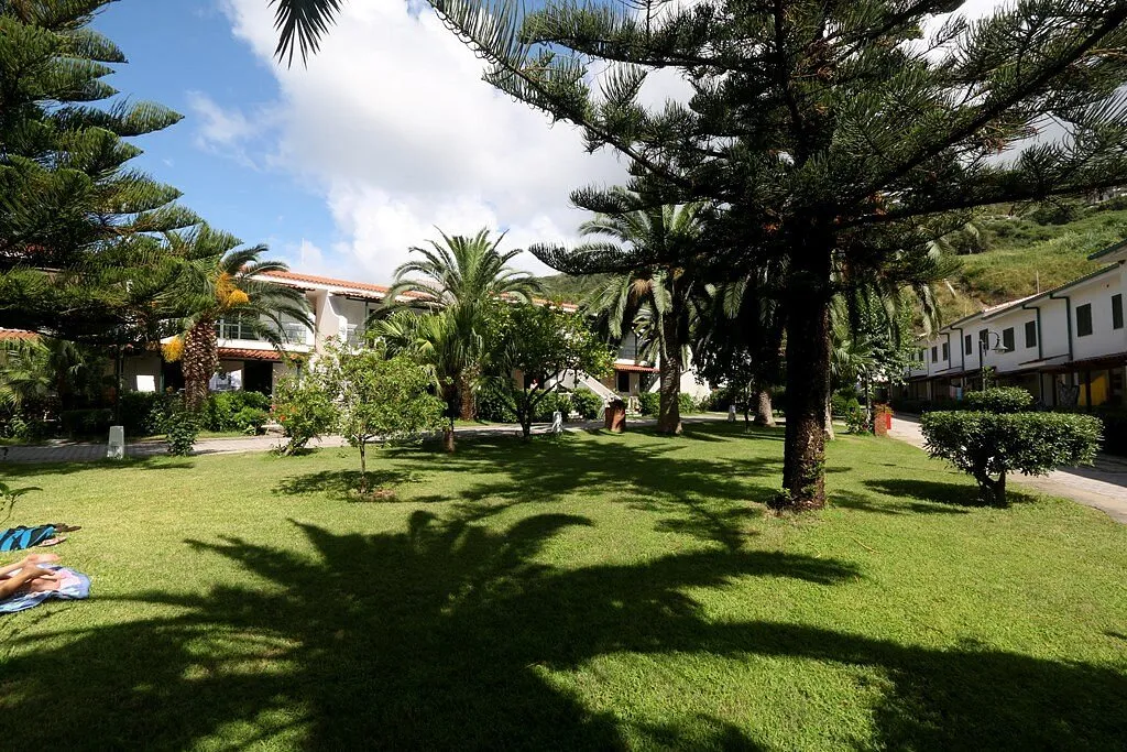 Giardino verde con palme, alberi e prato curato tra gli edifici del resort