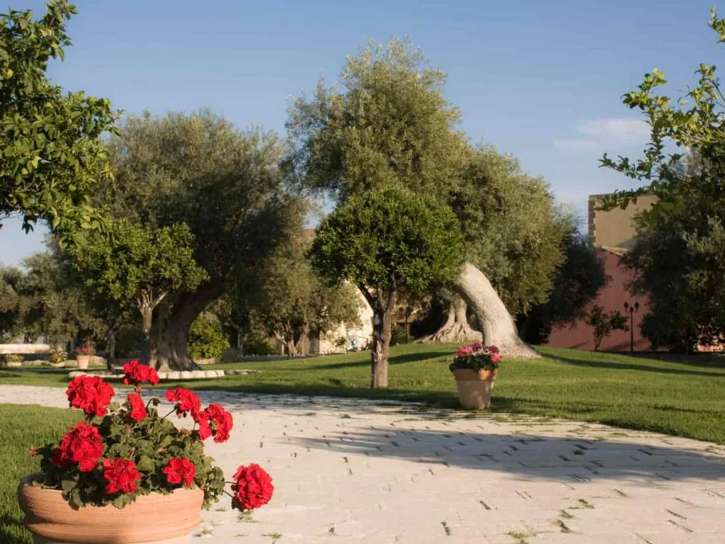 Giardino con ulivi secolari, prato verde e fioriere di gerani rossi sotto il cielo azzurro