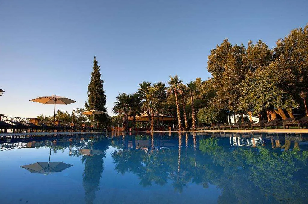 Piscina con riflessi di palme e ombrelloni in un giardino soleggiato