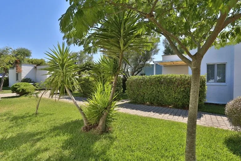 Giardino curato con palme e vialetto tra i bungalow bianchi