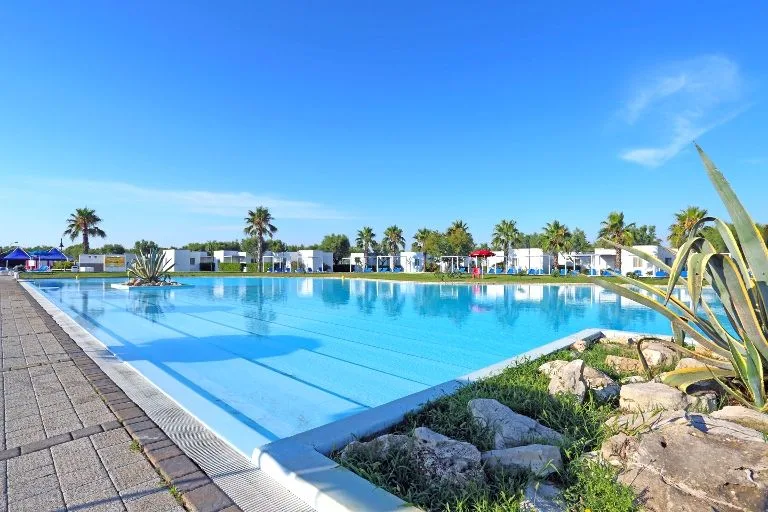 Ampia piscina con acqua azzurra e palme sullo sfondo